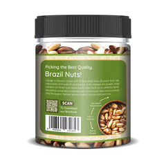 BRAZIL NUTS